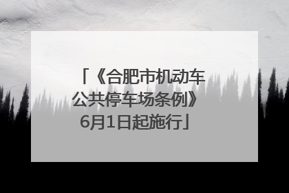 《合肥市机动车公共停车场条例》6月1日起施行