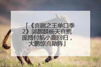 《喜剧之王单口季2》郭麒麟杨天真携庞博付航小鹿回归，大鹏惊喜助阵