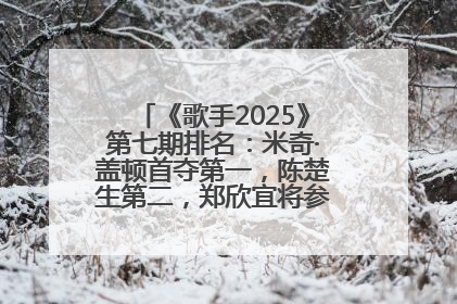 《歌手2025》第七期排名：米奇·盖顿首夺第一，陈楚生第二，郑欣宜将参加下一轮张榜赛