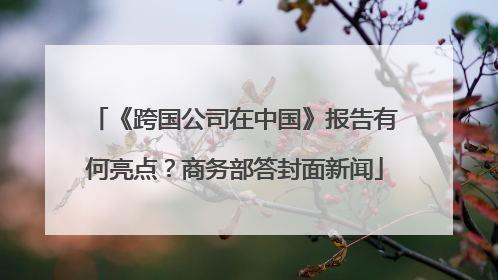 《跨国公司在中国》报告有何亮点?商务部答封面新闻