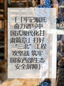 「牢记嘱托 奋力谱写中国式现代化甘肃篇章」打好“三北”工程攻坚战 筑牢国家西部生态安全屏障