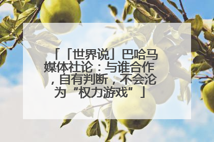 「世界说」巴哈马媒体社论：与谁合作，自有判断，不会沦为“权力游戏”