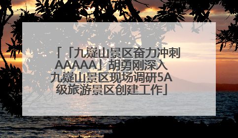 「九嶷山景区奋力冲刺AAAAA」胡勇刚深入九嶷山景区现场调研5A级旅游景区创建工作
