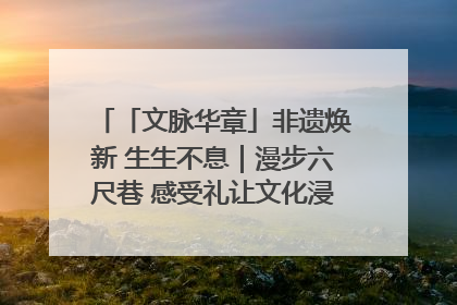 「文脉华章」非遗焕新 生生不息｜漫步六尺巷 感受礼让文化浸润的“巷”往生活