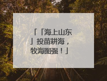 「海上山东」投苗耕海，牧海图强！