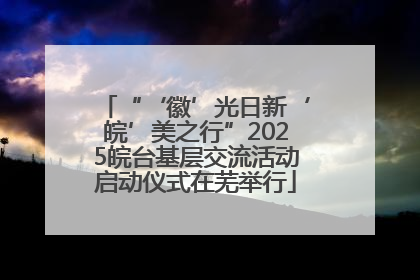 “‘徽’光日新‘皖’美之行”2025皖台基层交流活动启动仪式在芜举行