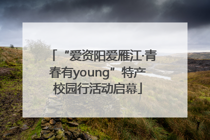 “爱资阳爱雁江·青春有young”特产校园行活动启幕