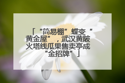 “简易棚”蝶变“黄金屋”，武汉黄陂火塔线瓜果售卖亭成“金招牌”