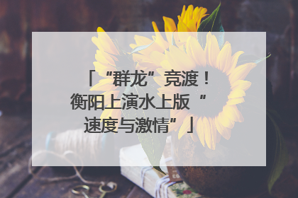 “群龙”竞渡！衡阳上演水上版“速度与激情”