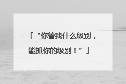 “你管我什么级别，能抓你的级别！”