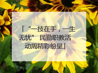 “一技在手，一生无忧” 民勤职教活动周精彩纷呈