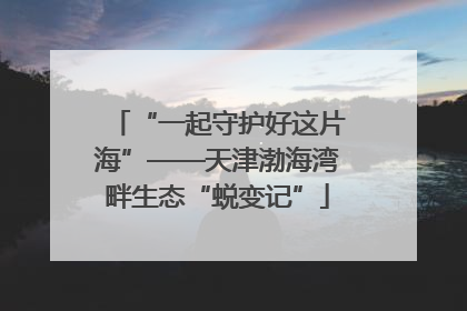 “一起守护好这片海”——天津渤海湾畔生态“蜕变记”