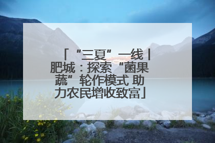 “三夏”一线丨肥城：探索“菌果蔬”轮作模式 助力农民增收致富