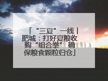“三夏”一线丨肥城：打好夏粮收购“组合拳” 确保粮食颗粒归仓