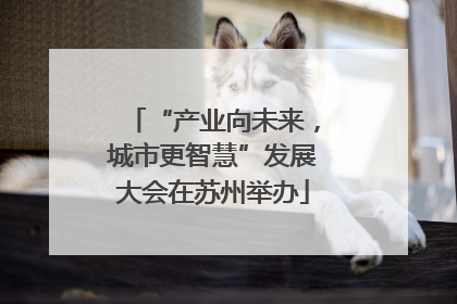 “产业向未来，城市更智慧”发展大会在苏州举办
