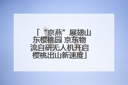“京燕”展翅山东樱桃园 京东物流自研无人机开启樱桃出山新速度