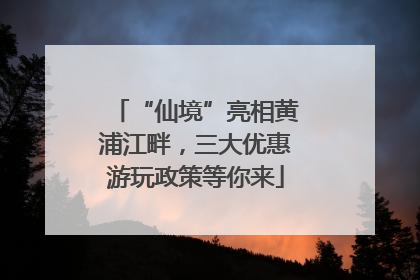 “仙境”亮相黄浦江畔，三大优惠游玩政策等你来