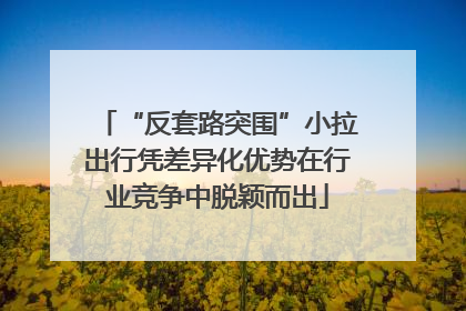 “反套路突围”小拉出行凭差异化优势在行业竞争中脱颖而出