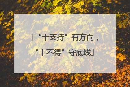 “十支持”有方向，“十不得”守底线
