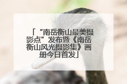 “南岳衡山最美摄影点”发布暨《南岳衡山风光摄影集》画册今日首发