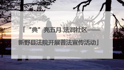 “典”亮五月 法润社区——新野县法院开展普法宣传活动