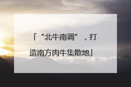 “北牛南调”，打造南方肉牛集散地