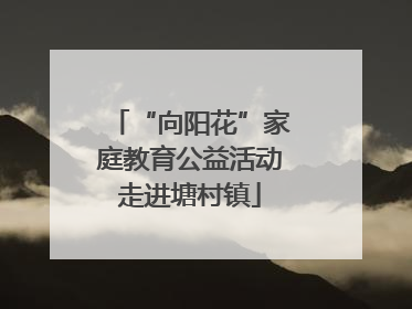 “向阳花”家庭教育公益活动走进塘村镇