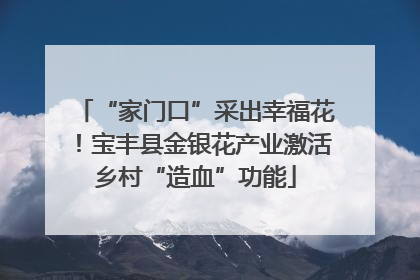 “家门口”采出幸福花！宝丰县金银花产业激活乡村“造血”功能