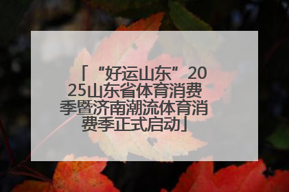“好运山东”2025山东省体育消费季暨济南潮流体育消费季正式启动