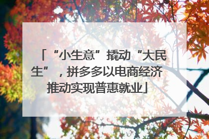 “小生意”撬动“大民生”，拼多多以电商经济推动实现普惠就业