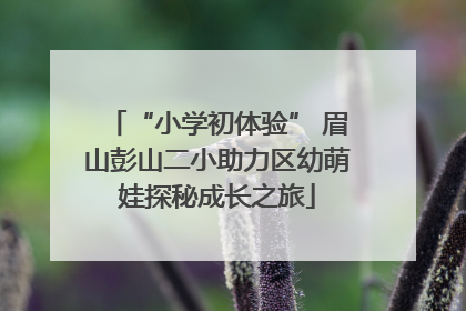 “小学初体验” 眉山彭山二小助力区幼萌娃探秘成长之旅