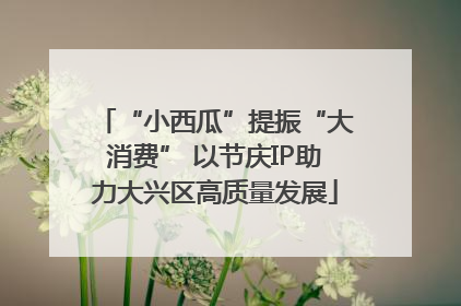 “小西瓜”提振“大消费” 以节庆IP助力大兴区高质量发展