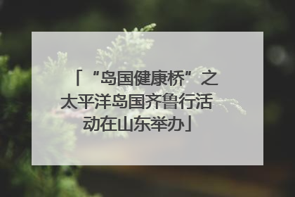 “岛国健康桥”之太平洋岛国齐鲁行活动在山东举办