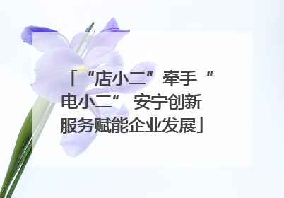 “店小二”牵手“电小二” 安宁创新服务赋能企业发展