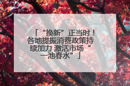 “换新”正当时！各地提振消费政策持续加力 激活市场“一池春水”