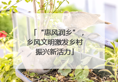 “惠风润乡”，乡风文明激发乡村振兴新活力