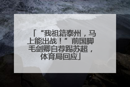 “我祖籍泰州，马上能出战！”前国脚毛剑卿自荐踢苏超，体育局回应