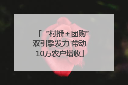 “村播＋团购”双引擎发力 带动10万农户增收