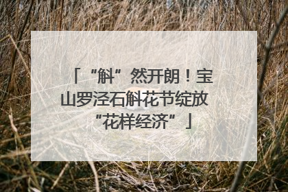 “斛”然开朗！宝山罗泾石斛花节绽放“花样经济”