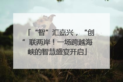 “智”汇嘉兴，“创”联两岸！一场跨越海峡的智慧盛宴开启