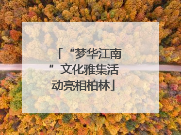 “梦华江南”文化雅集活动亮相柏林