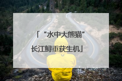 “水中大熊猫”长江鲟重获生机