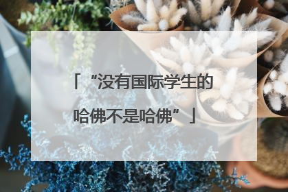 “没有国际学生的哈佛不是哈佛”