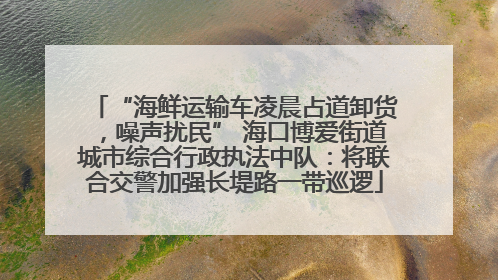 “海鲜运输车凌晨占道卸货，噪声扰民” 海口博爱街道城市综合行政执法中队：将联合交警加强长堤路一带巡逻