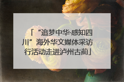 “追梦中华·感知四川”海外华文媒体采访行活动走进泸州古蔺