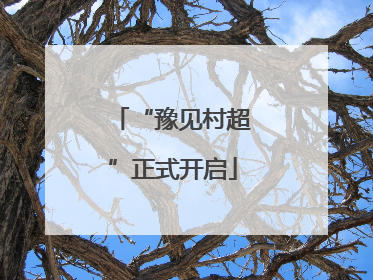 “豫见村超”正式开启
