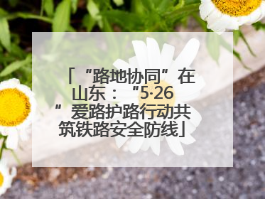 “路地协同”在山东：“5·26”爱路护路行动共筑铁路安全防线