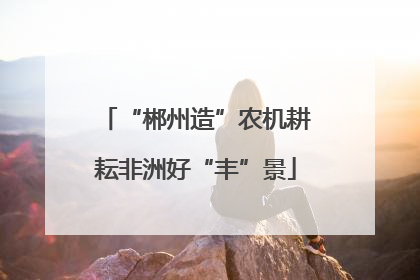 “郴州造”农机耕耘非洲好“丰”景