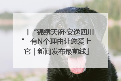 “锦绣天府·安逸四川” 有N个理由让您爱上它｜新闻发布最前线