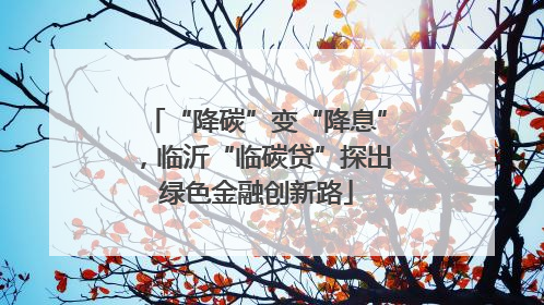 “降碳”变“降息”，临沂“临碳贷”探出绿色金融创新路